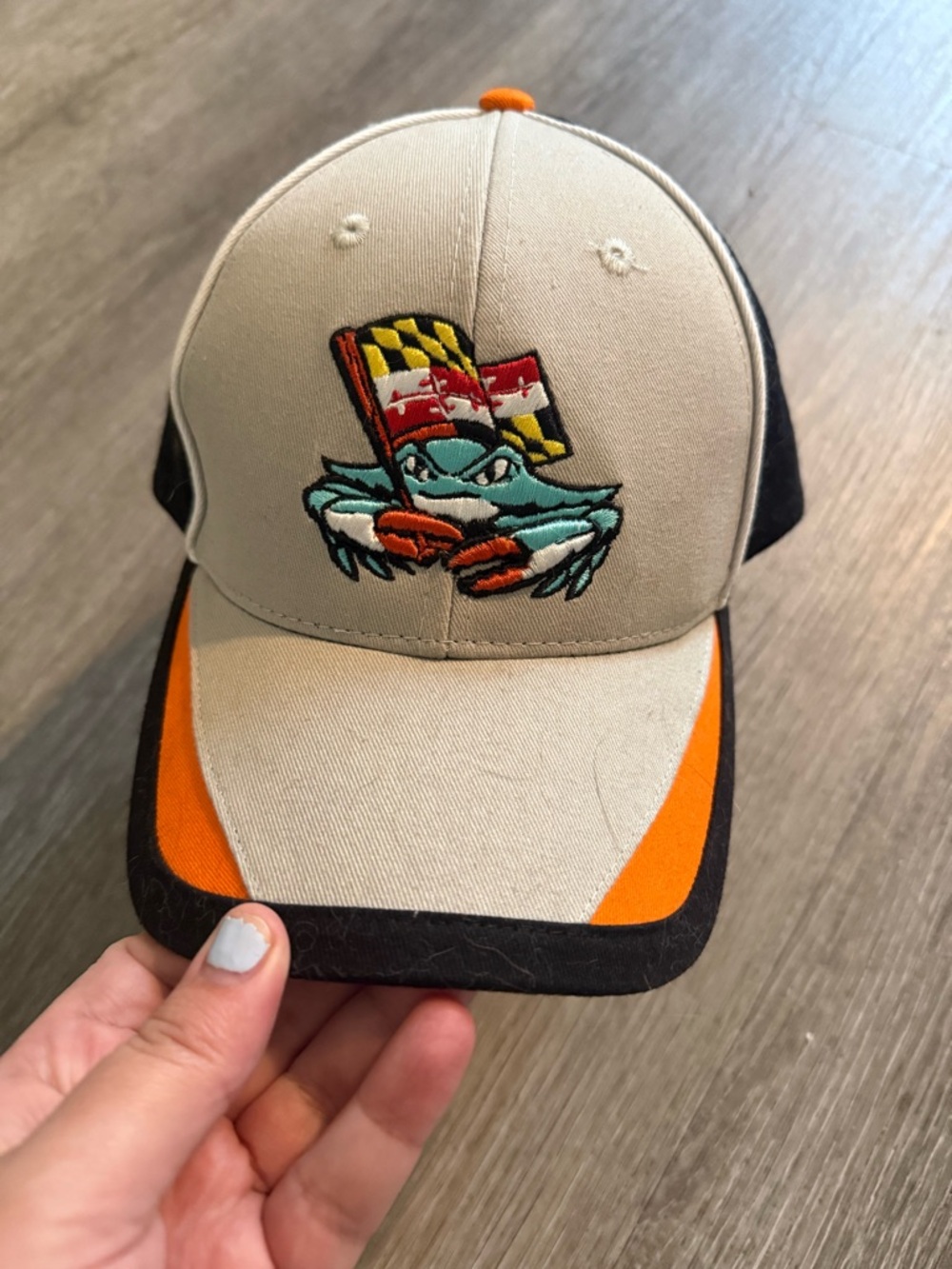 Chesapeake baysox baseball hat